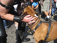img_8089.jpg