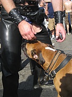 img_8090.jpg