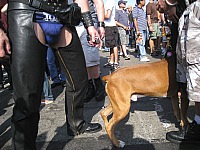 img_8091.jpg