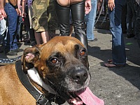 img_8093.jpg
