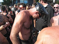 img_8113.jpg