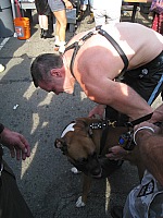 img_8115.jpg