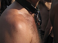 img_8196.jpg